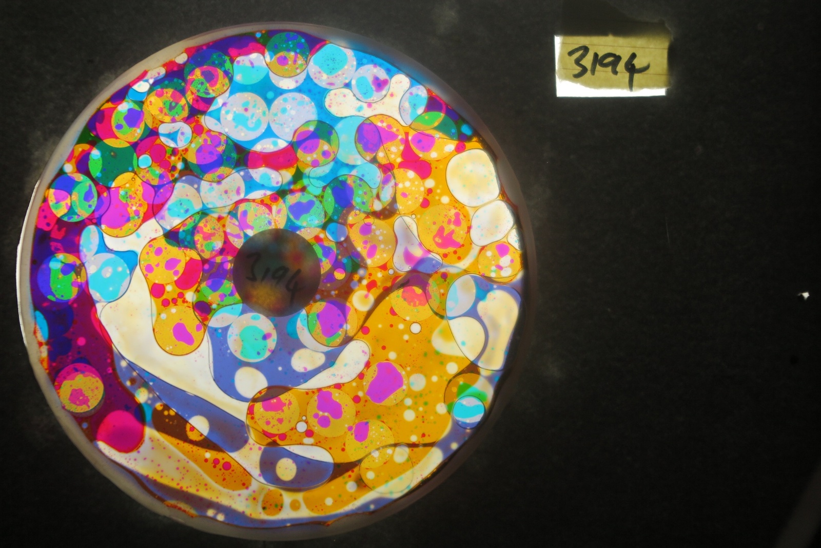 BV3194 bubble vision oil wheel